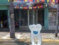 /album/fotogaleria%3a-%c2%bfquienes-somos-/img00969a-jpg/